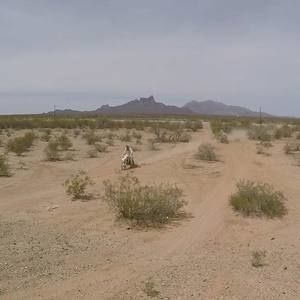 Meet your Posher, Phillip